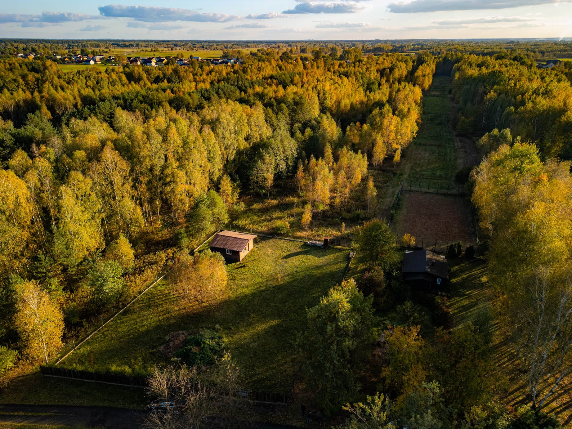 Forest plot from above